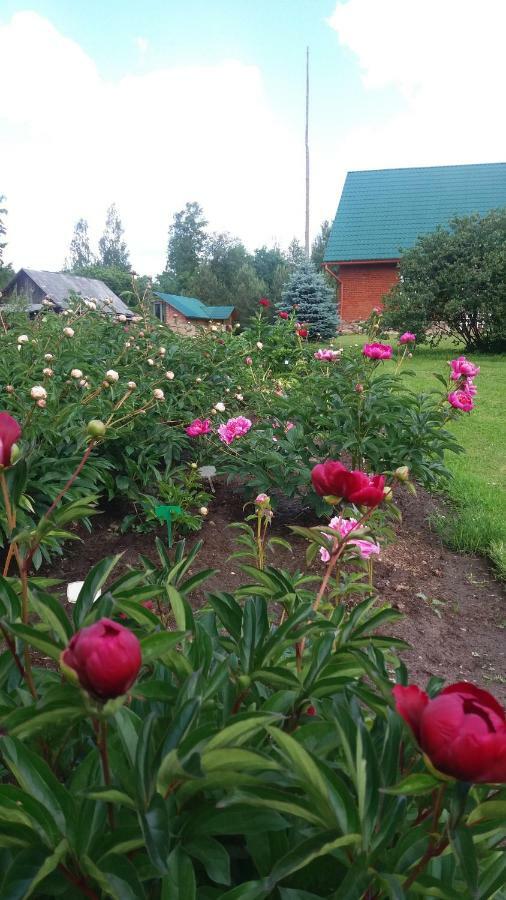 Cucumuiza Villa Kuldīga Екстериор снимка